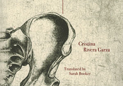 The cover to The Iliac Crest by Cristina Rivera Garza